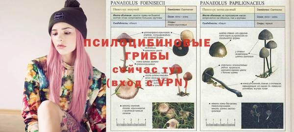 героин Аркадак